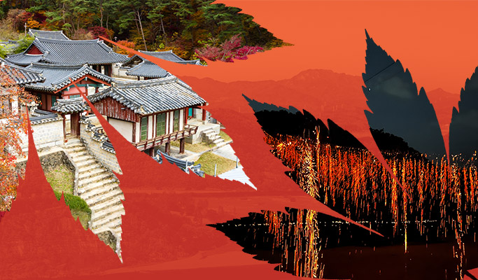[Weekend Getaway] Andong Hahoe Folk Village & Traditional Fireworks Festival 1 Day Tour - from Seoul/Busan (Oct 7 & 28)